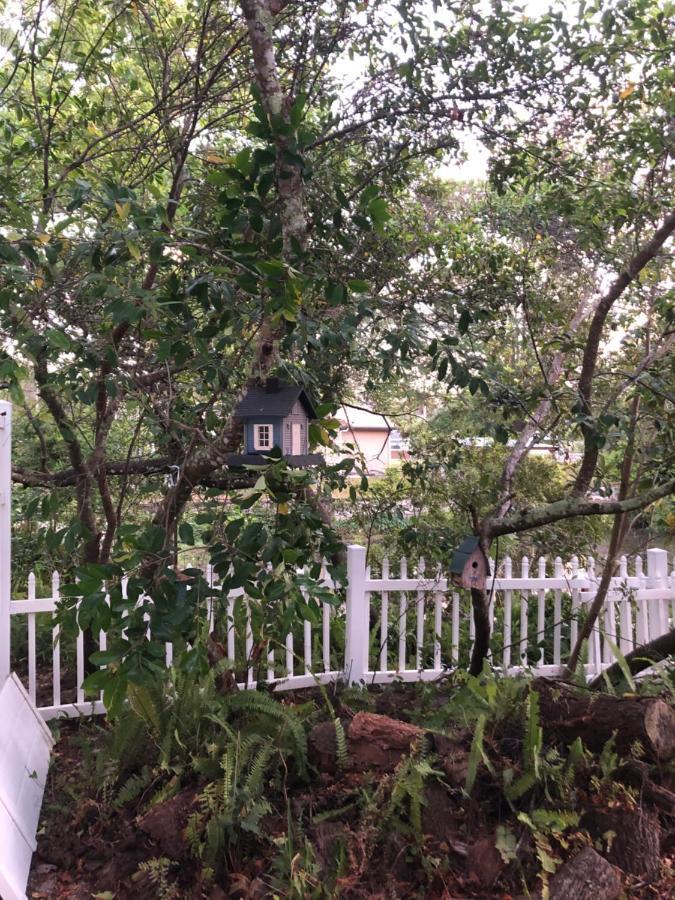 Cozy Cottage River House Weeki Wachee Dış mekan fotoğraf